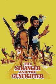 The Stranger and the Gunfighter filmas