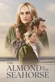 The Almond and the Seahorse filmas
