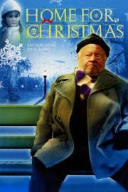 Home for Christmas filmas