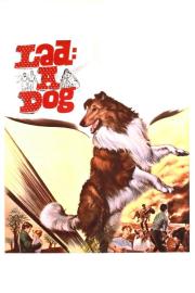Lad: A Dog filmas