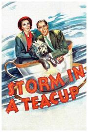 Storm in a Teacup filmas