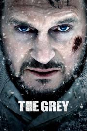 The Grey filmas