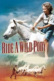 Ride a Wild Pony filmas