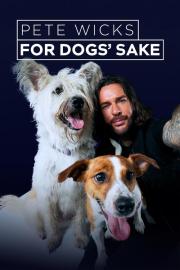 Pete Wicks: For Dogs’ Sake filmas