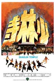 Shaolin Temple filmas