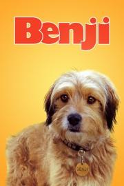 Benji filmas