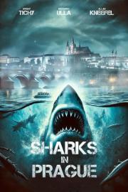 Sharks in Prague filmas