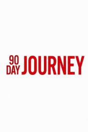 90 Day Journey filmas