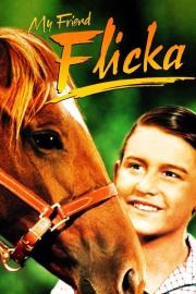 My Friend Flicka filmas