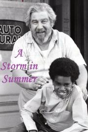 A Storm in Summer filmas