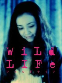 WiLd LIFe filmas