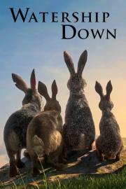 Watership Down filmas