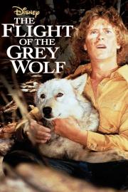 The Flight of the Grey Wolf filmas