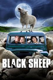 Black Sheep filmas