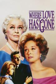Where Love Has Gone filmas
