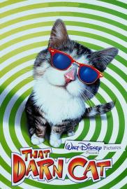 That Darn Cat filmas