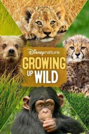 Growing Up Wild filmas