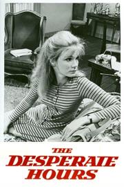 The Desperate Hours filmas