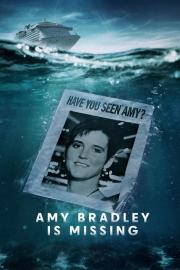 Amy Bradley Is Missing filmas