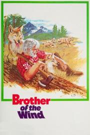 Brother of the Wind filmas