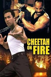 Cheetah on Fire filmas