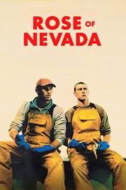 Nevados rožė filmas