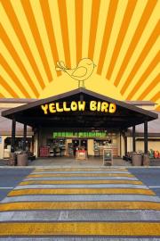 Yellow Bird filmas