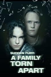 Sudden Fury filmas