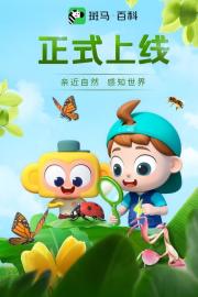 斑马百科2025 filmas