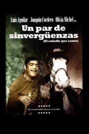 Un par de sinvergüenzas filmas