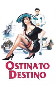 Ostinato destino filmas