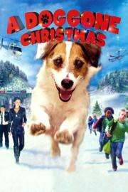 A Doggone Christmas filmas