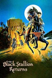 The Black Stallion Returns filmas