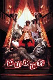 Buddy filmas