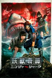 Ninja vs Shark filmas