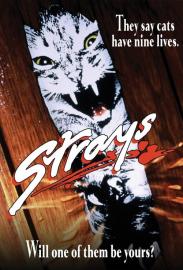 Strays filmas
