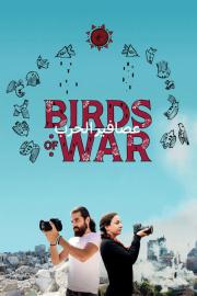 Birds of War filmas