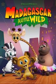 Madagascar: A Little Wild filmas