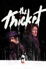 The Thicket filmas