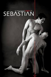 El malogrado amor de Sebastián filmas
