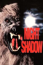 Night Shadow filmas