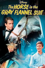 The Horse in the Gray Flannel Suit filmas