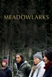Meadowlarks filmas