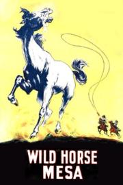 Wild Horse Mesa filmas