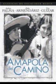 Amapola Del Camino filmas