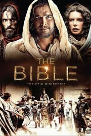 The Bible filmas