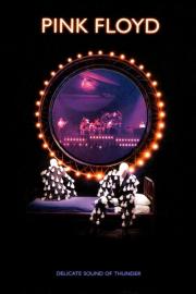 Pink Floyd: Delicate Sound of Thunder filmas