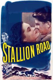 Stallion Road filmas
