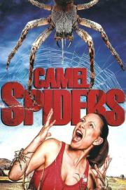 Camel Spiders filmas