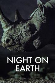 Night on Earth filmas